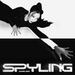 人进入马的水门正确做法
